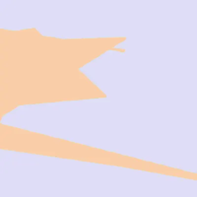 #5000006