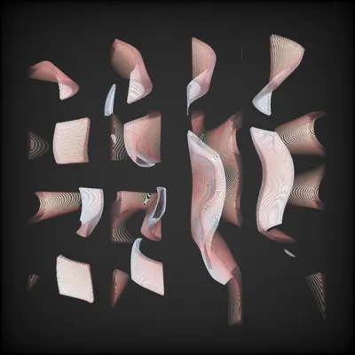 #2000061