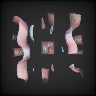#2000079