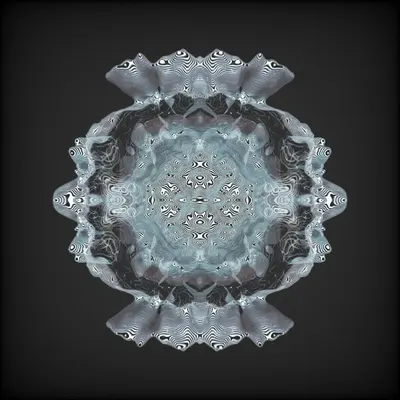 #2000135