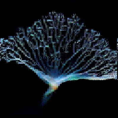 #11000014
