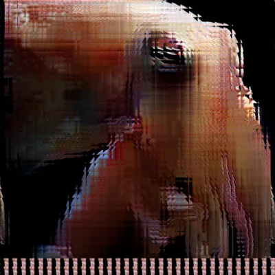 #11000036