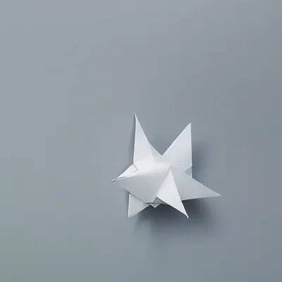 #20000006