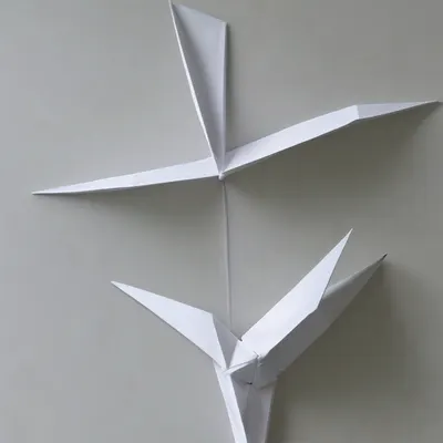 #20000016