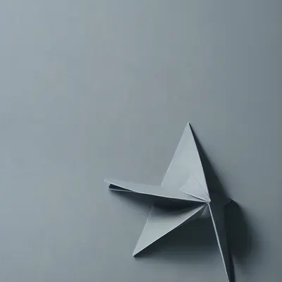 #20000024