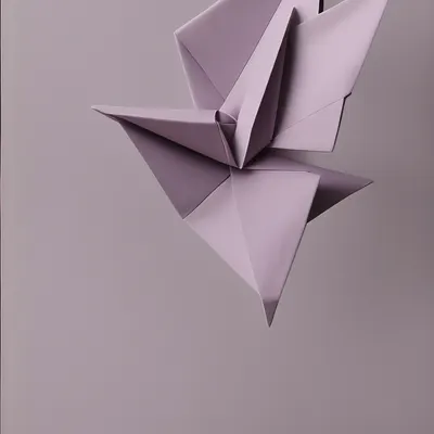 #20000027