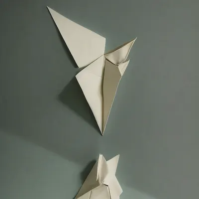 #20000036