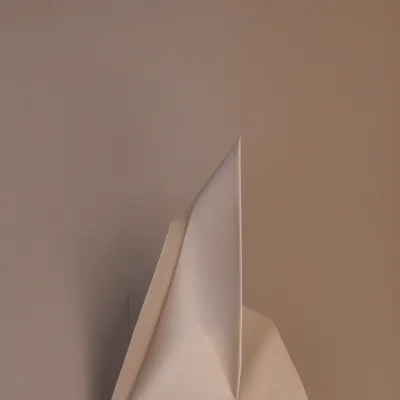 #20000043