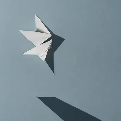 #20000054