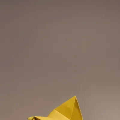 #20000062