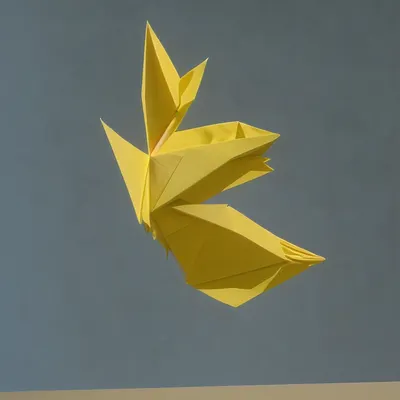 #20000064