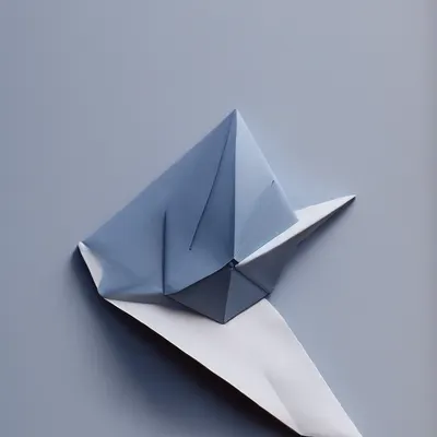 #20000066