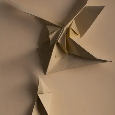 #20000085