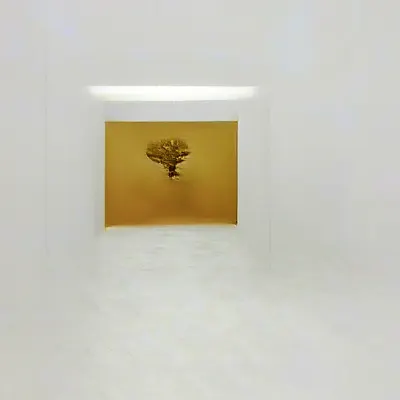 #27000066