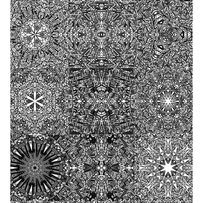 #10000019