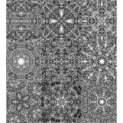 #10000068