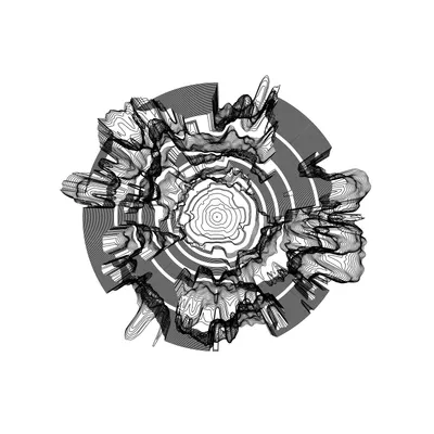 #1000053