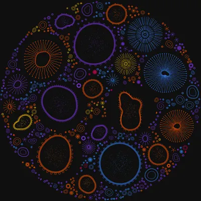 #11000006