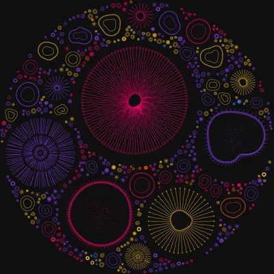 #11000028