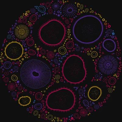 #11000029