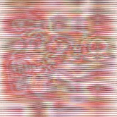 #17000002