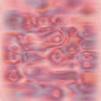 #17000019