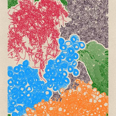 #19000080