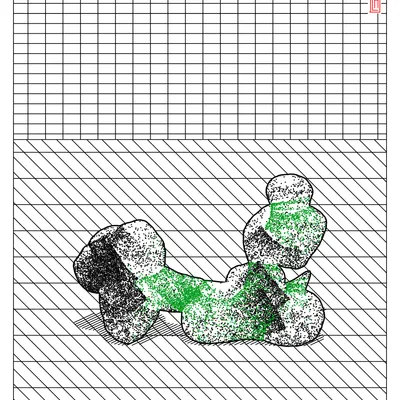#2000081