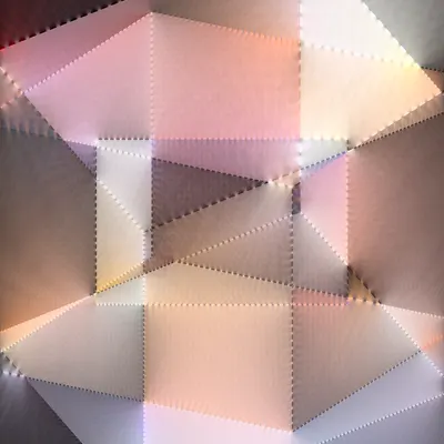 #499000060