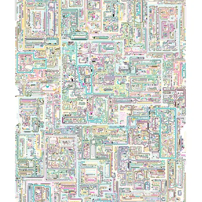 #504000005