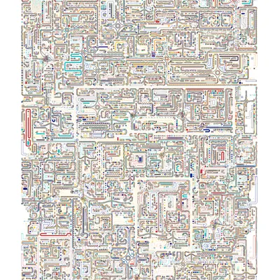 #504000008