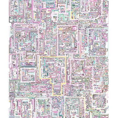 #504000020