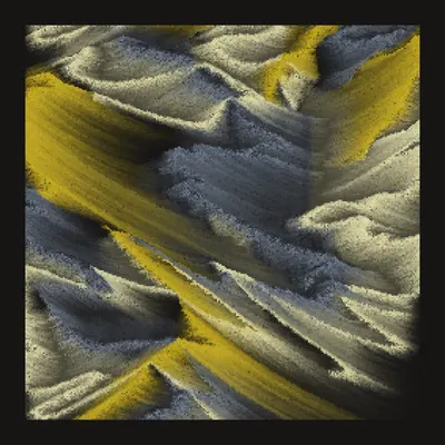 #1000008