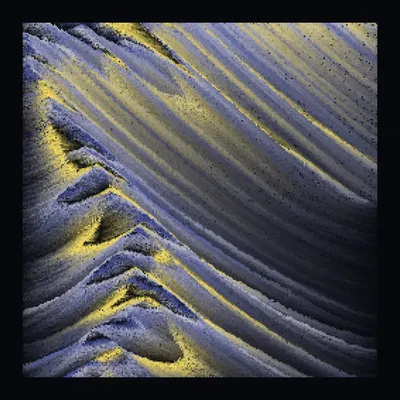 #1000040