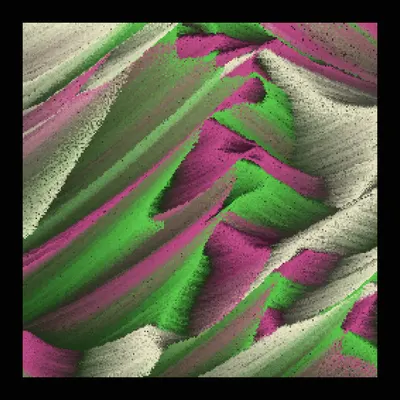 #1000051