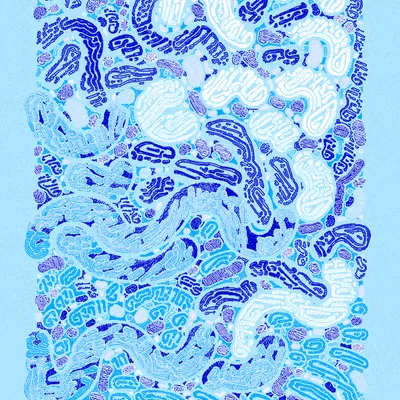 #1000053