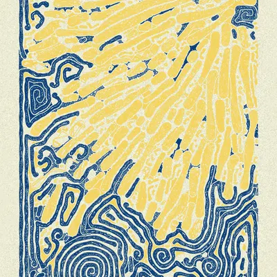 #1000054