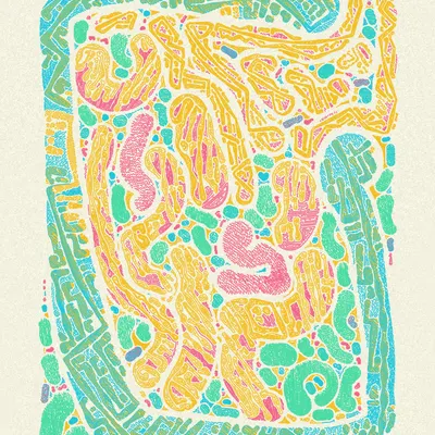 #1000071
