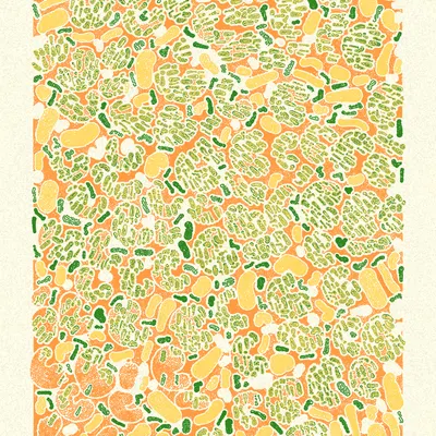 #1000203