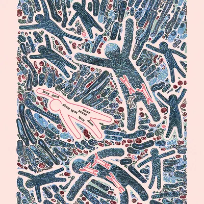 #2000068