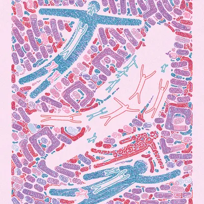 #2000164