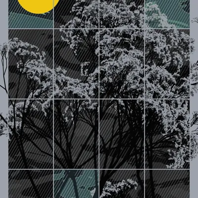 #31
