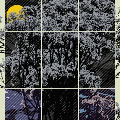 #37