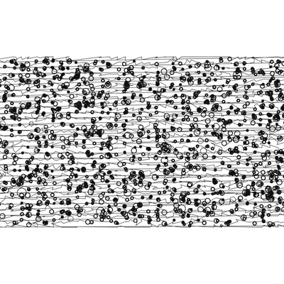 #2000029