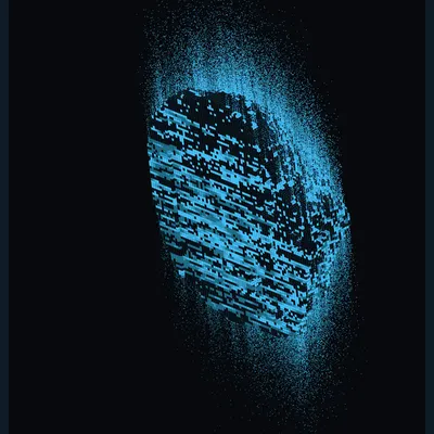 #5000061