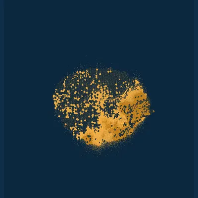 #5000070