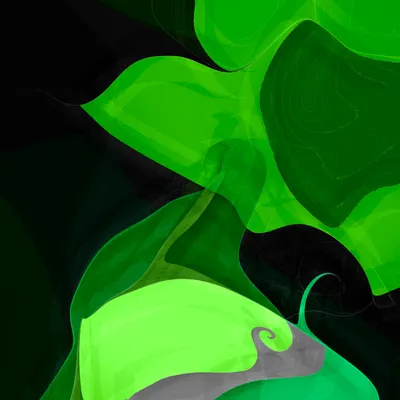 #6