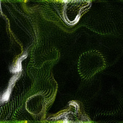 #7000006