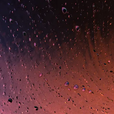 #41