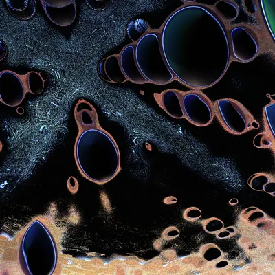 #48